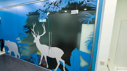 Декоративне оформлення інтер'єру. Виклейка плівки RITRAMA на скло.