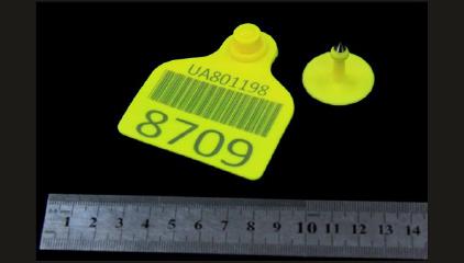 Ідентифікаційні бірки для тварин, худоби